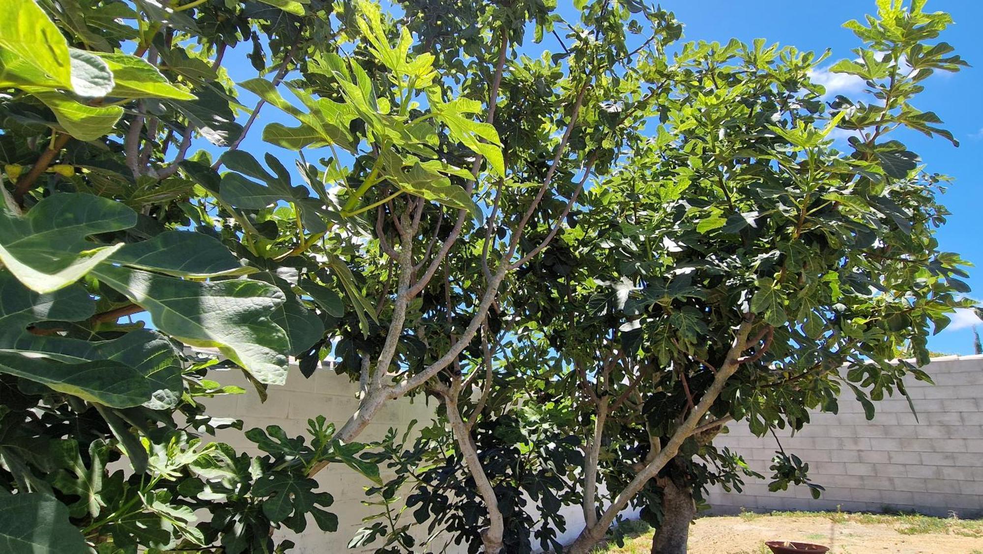 Casa Vacacional En Chiclana De La Frontera Villa Bagian luar foto